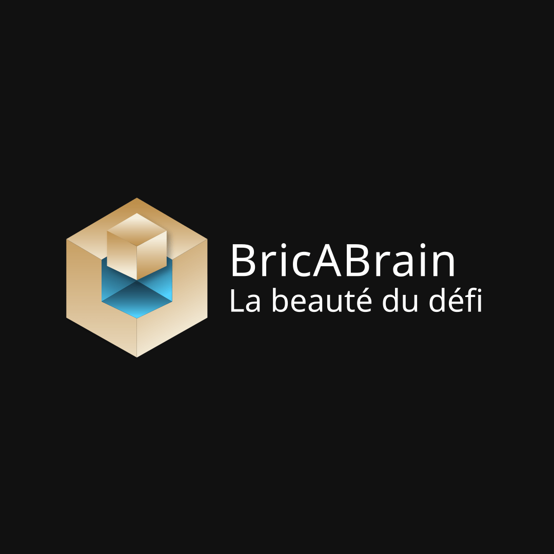 Logo avec slogan bricabrain