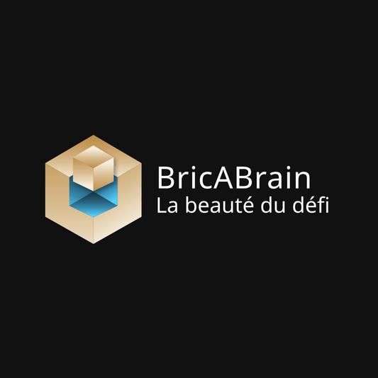 Logo avec slogan bricabrain