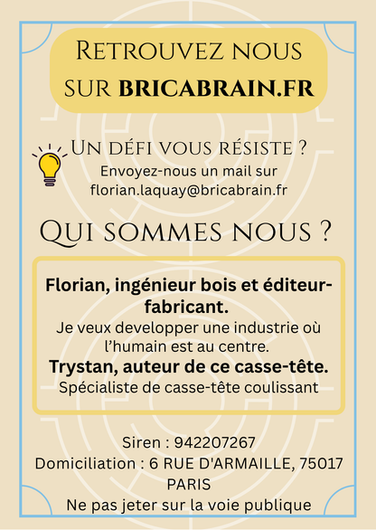 DÉDALE : Casse-tête en bois (jusqu’à 4 niveaux de difficulté)